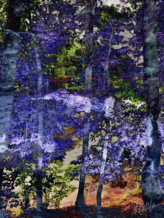 In a forest, near a river