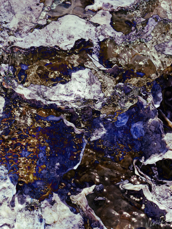 Wave and Oyster Shells